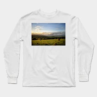 Cattle graze during a sunset looking towards the Trossachs, Scotland Long Sleeve T-Shirt